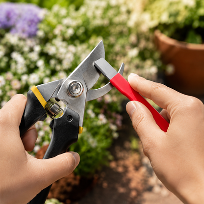 🔥56% OFF Today | Quick-Edge Blade Sharpener — Restore Knives, Scissors & Garden Shears in Seconds